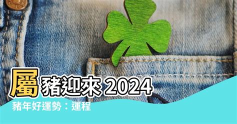 2024 屬豬運勢|【2024屬豬運程】2024屬豬運程：反覆向上、轉危為機！【開運。